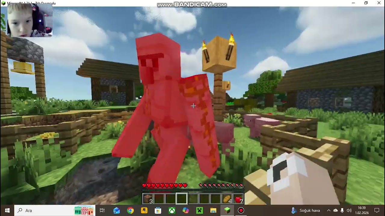 Minecraft