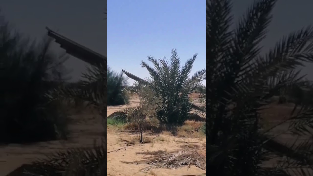 ٥ افدنة نخل سيوي قرية الحارة الواحات البحرية للتواصل ٠١٢٠٠٤٩٩٨٧٨ او ٠١٠٢٣٣١٨٤٠٥ 
