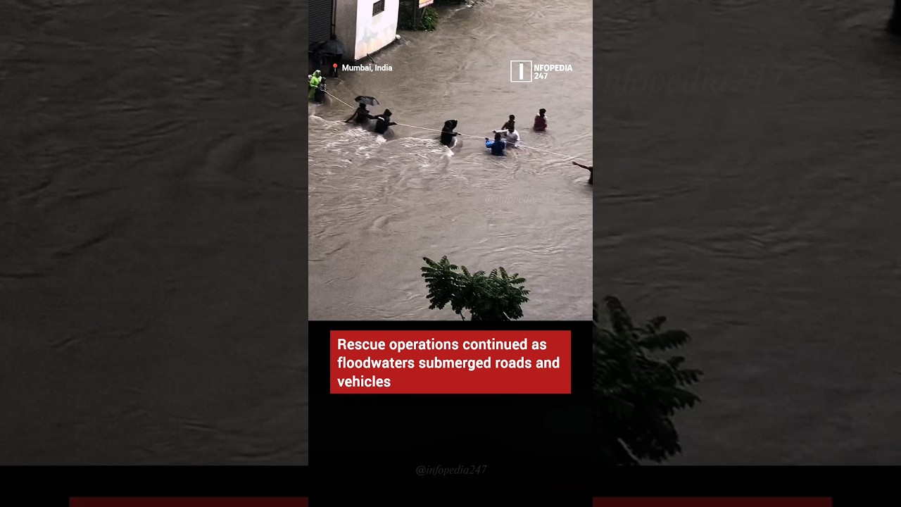 Mumbai Rains LIVE: Madhuban Township Flooded in Vasai | IMD Issues Red Alert | #infopedia247 #shorts