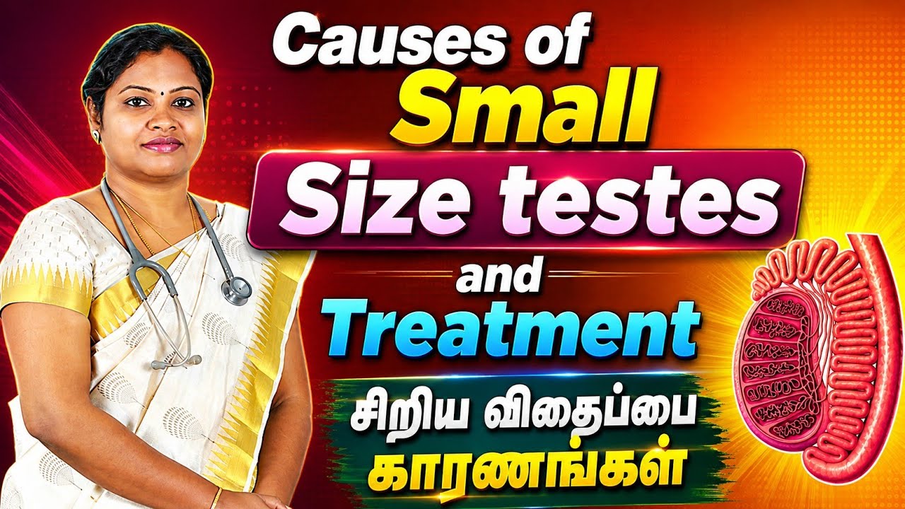 Causes of Small volume testis and treatment | Dr.P.Iswarya Devi M.D(s)
