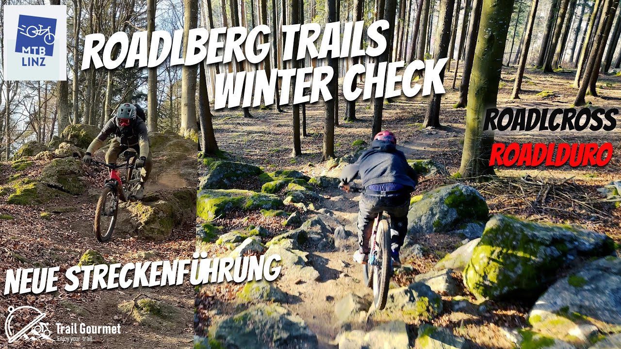 Roadlberg-Trails von MTB Linz im Trail check | Rote und schwarze Lines, einige Neuerungen | YT Decoy
