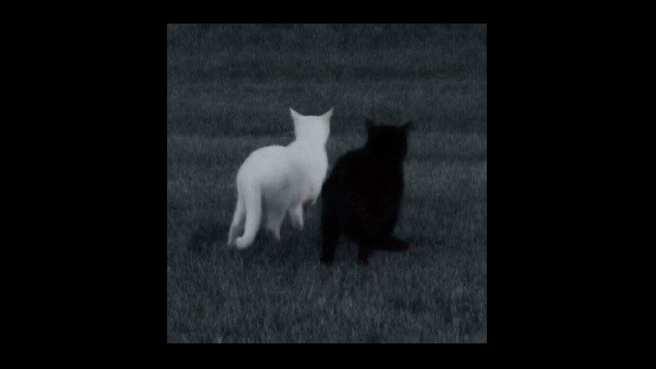 Infinity- (Speed up)