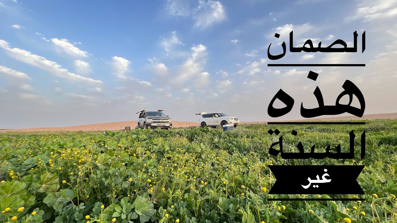 كشتة اربع ايام في فياض الصمان الشمالية ربيع ١٤٤٤هـ
