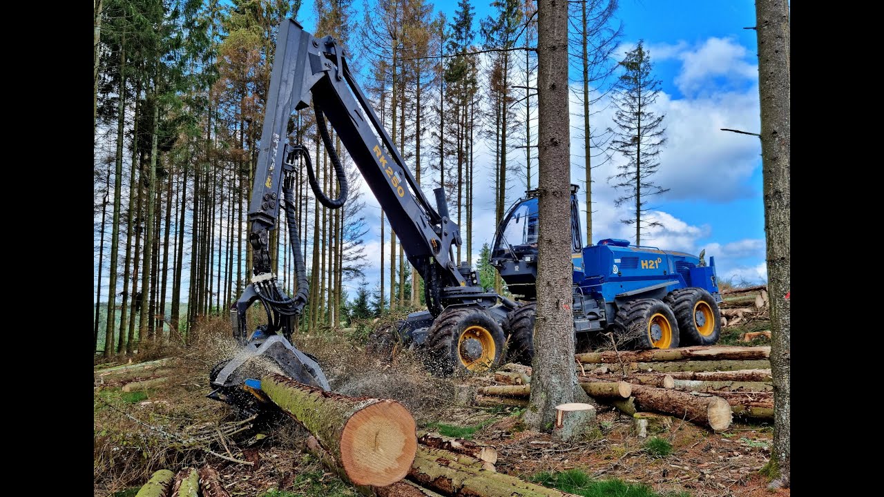 🌲*THE biggest Swede* &bull; Rottne H21-D 8WD &bull; Holz-Winter &bull; Biggest Harvester &bull; Harvesteraction &bull;  🌲