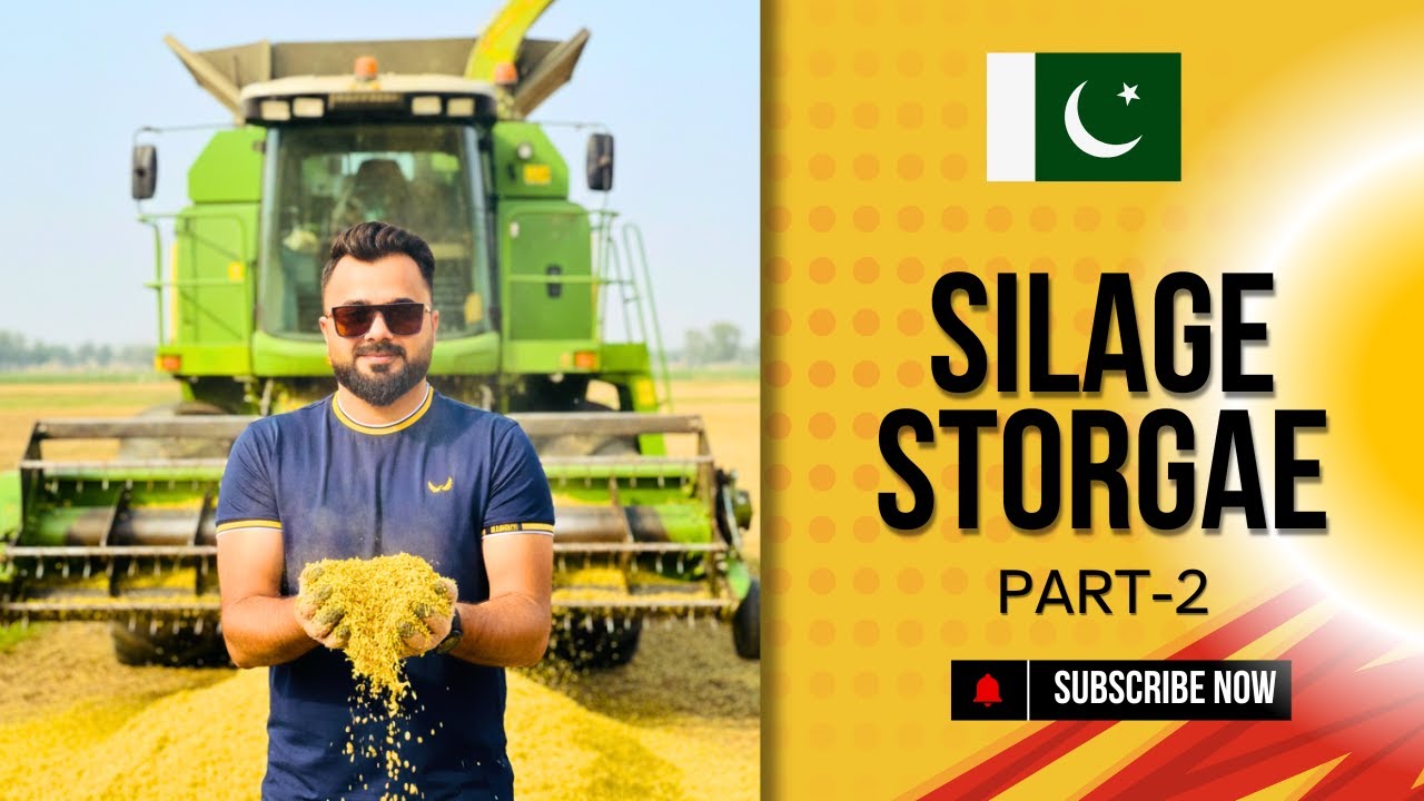 How to Make Best Quality Silage in Pakistan | SOORI CATTLE FARM Secret Formula 🌽🚜 PART-2