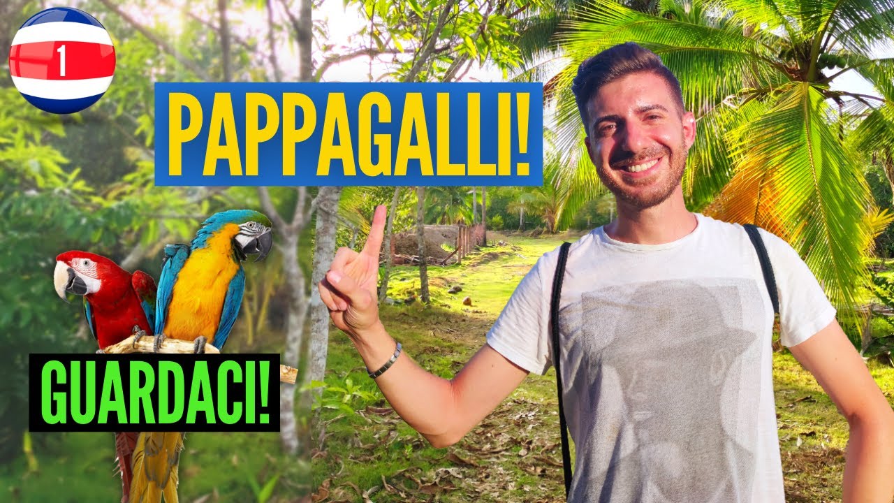 Alla scoperta della Penisola di OSA: che il viaggio abbia inizio! | Costa Rica Ep.1
