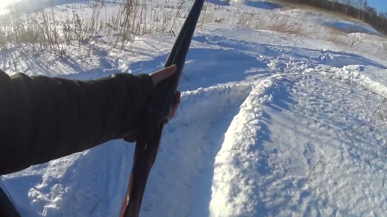 ИЖ 26 made in USSR, первый выстрел после 40 лет простоя в сейфе!