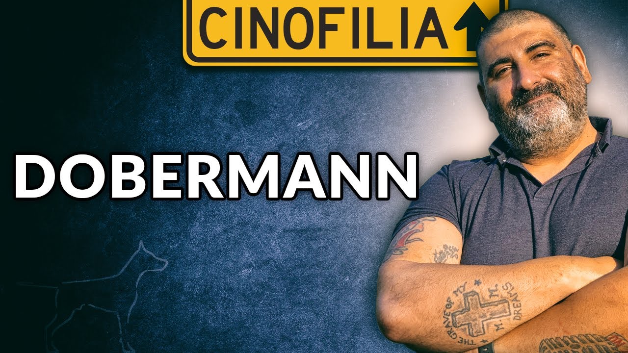 Il Dobermann