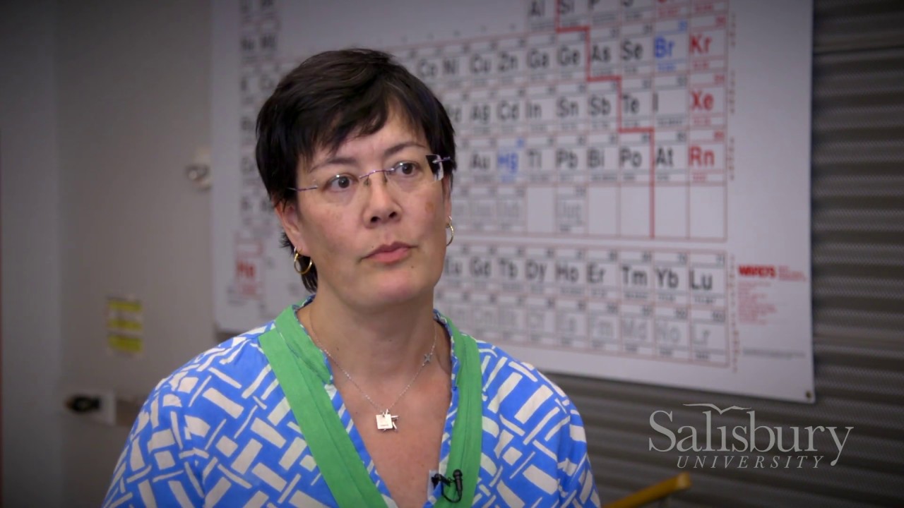 Student Researchers Inspire Learning