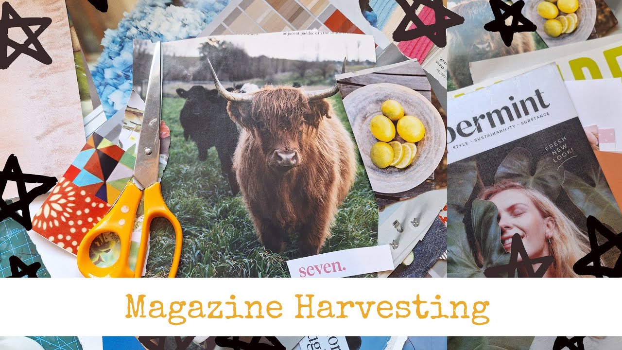 Let's Harvest Some Magazines