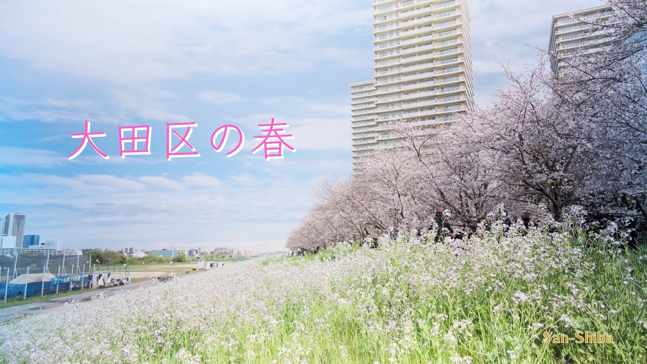 大田区の春（ドローン空撮あり）