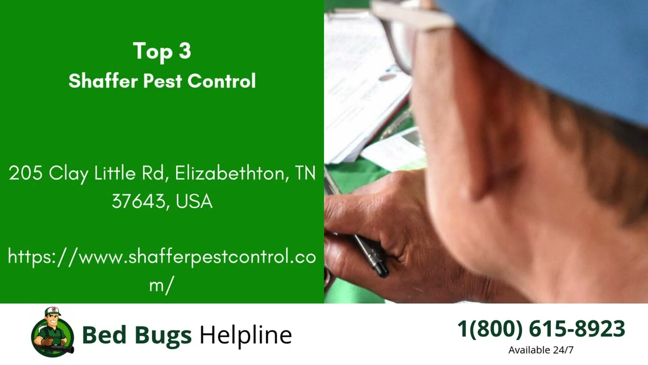 Top 3 Bed Bug Removal in Elizabethton