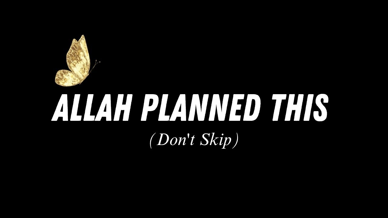 Pause… Allah Planned This Moment For You ✨🤍