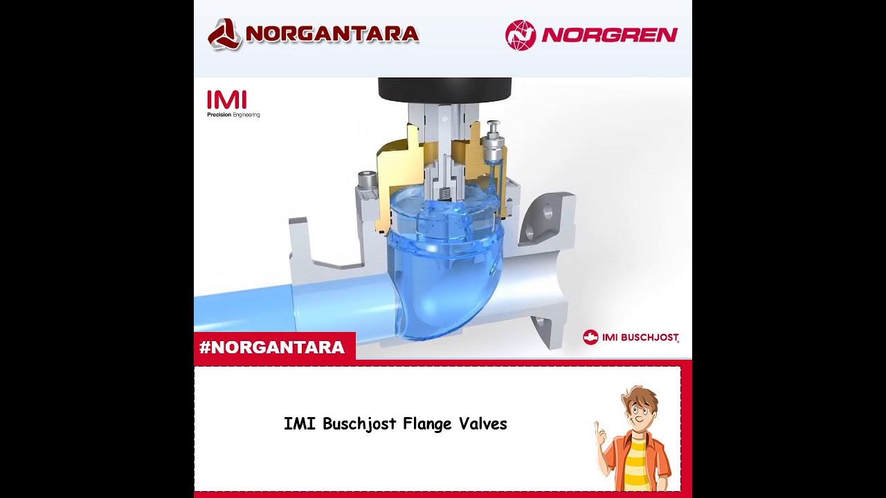 IMI Buschjost Flange Valves