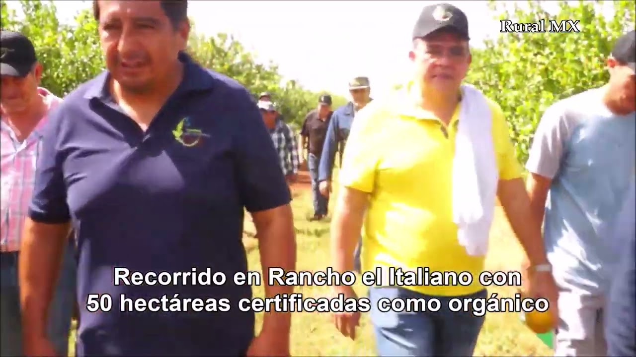 Taller Internacional Orgánico: La pandemia le abrió las puertas