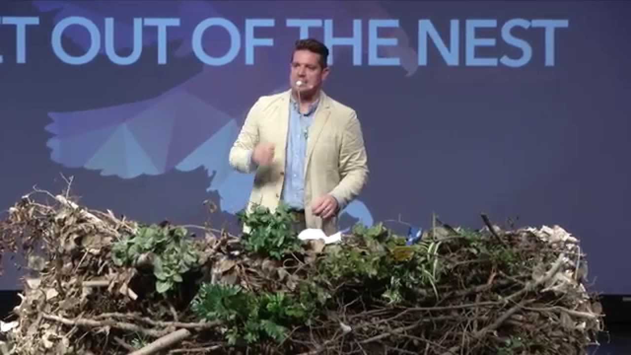 Get Out Of The Nest