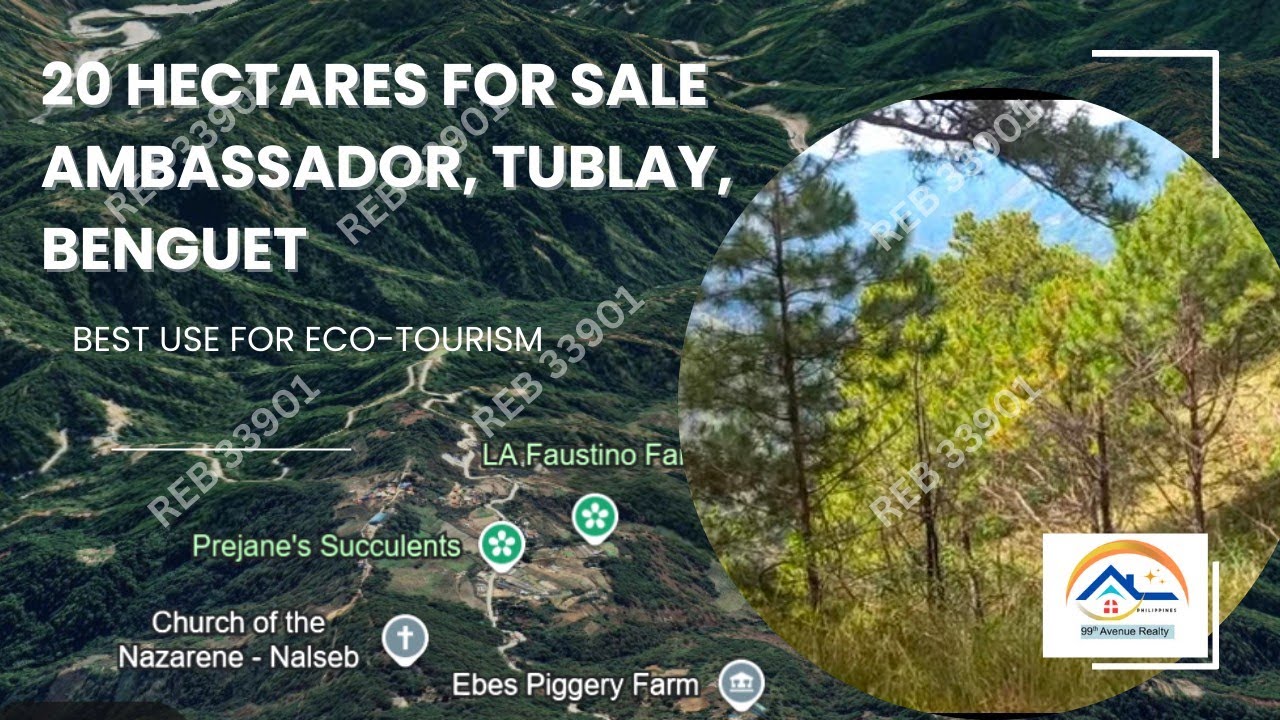 20 Hectares Lot For Sale, Tublay, Benguet
