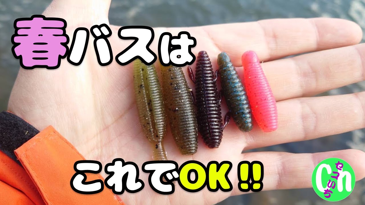 【初心者必見】春のバス釣りは高比重ワームのズル引きで決まり！【Black bass】【3月】【春】【川スモール】