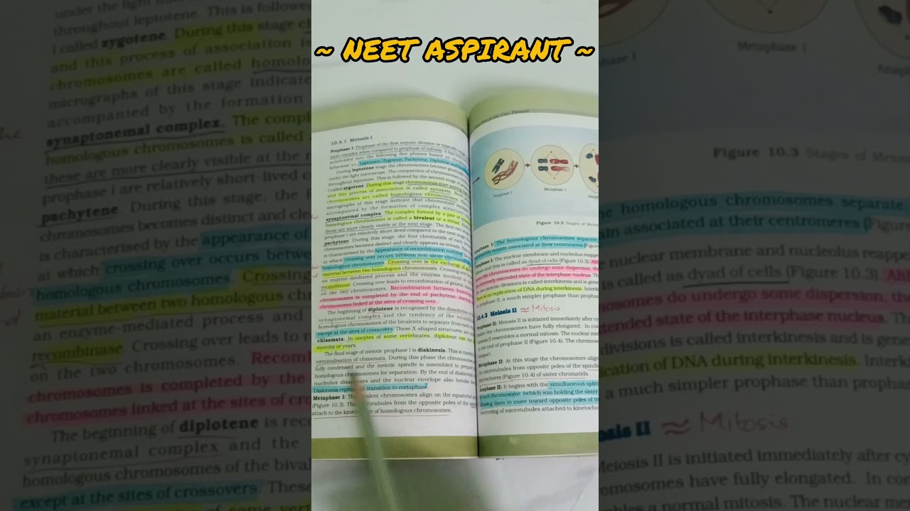 FOCUS ON YOUR GOAL‼️📚🎯 #brilliantstudycentre #neet2024 #neet2025 #neetmotivation #pw #xylemneet