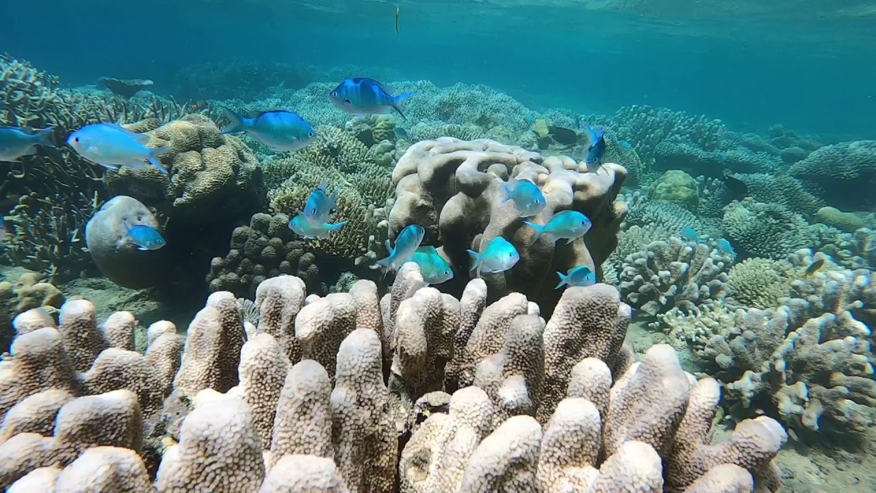 N’GOUJA MAYOTTE