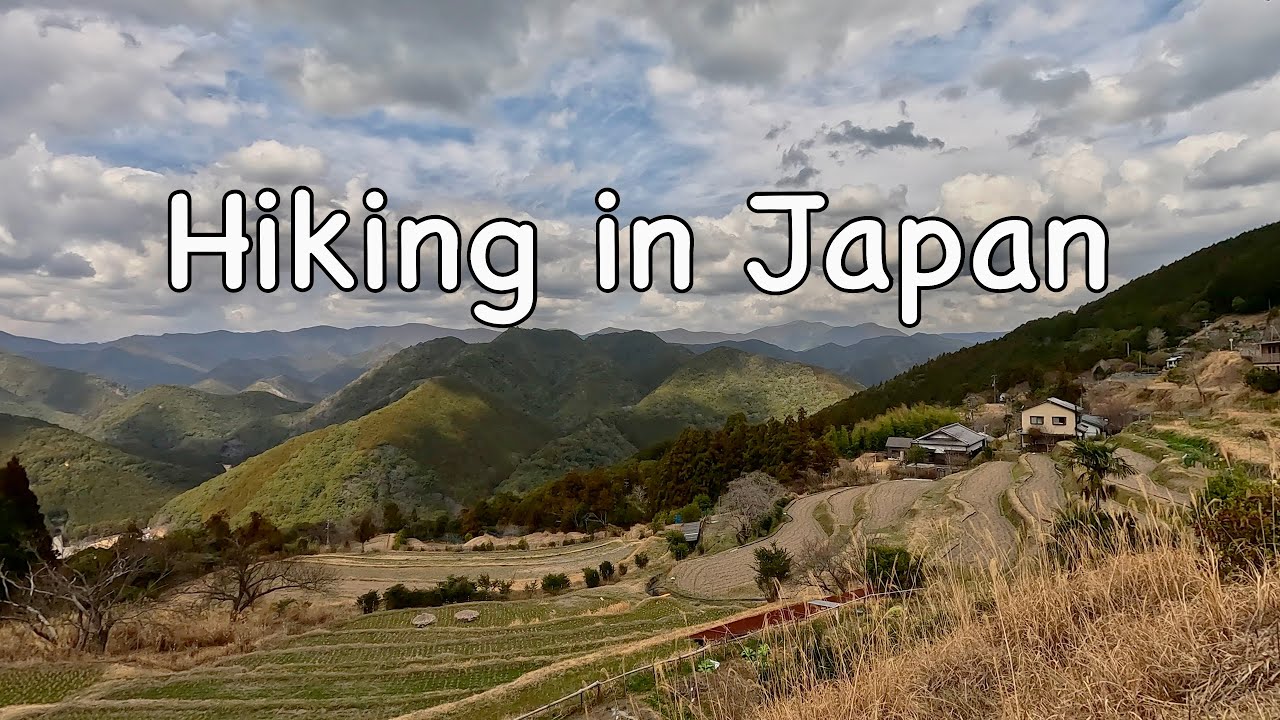 Solo Hiking in Japan - Relaxing Nature Sounds to Study/Work/Sleep/ASMR