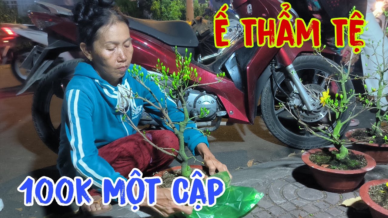 Ế thậm tệ giảm Cứu Mai 100k một Cập 