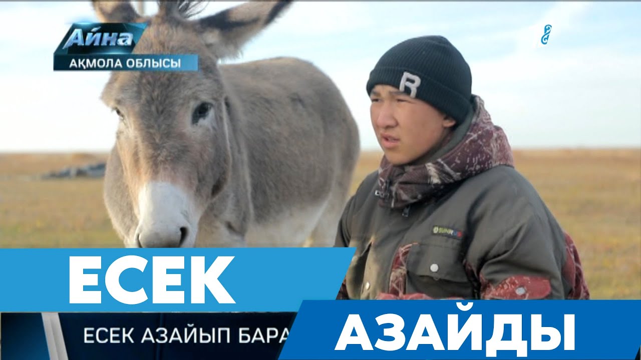 ЕСЕК АЗАЙДЫ