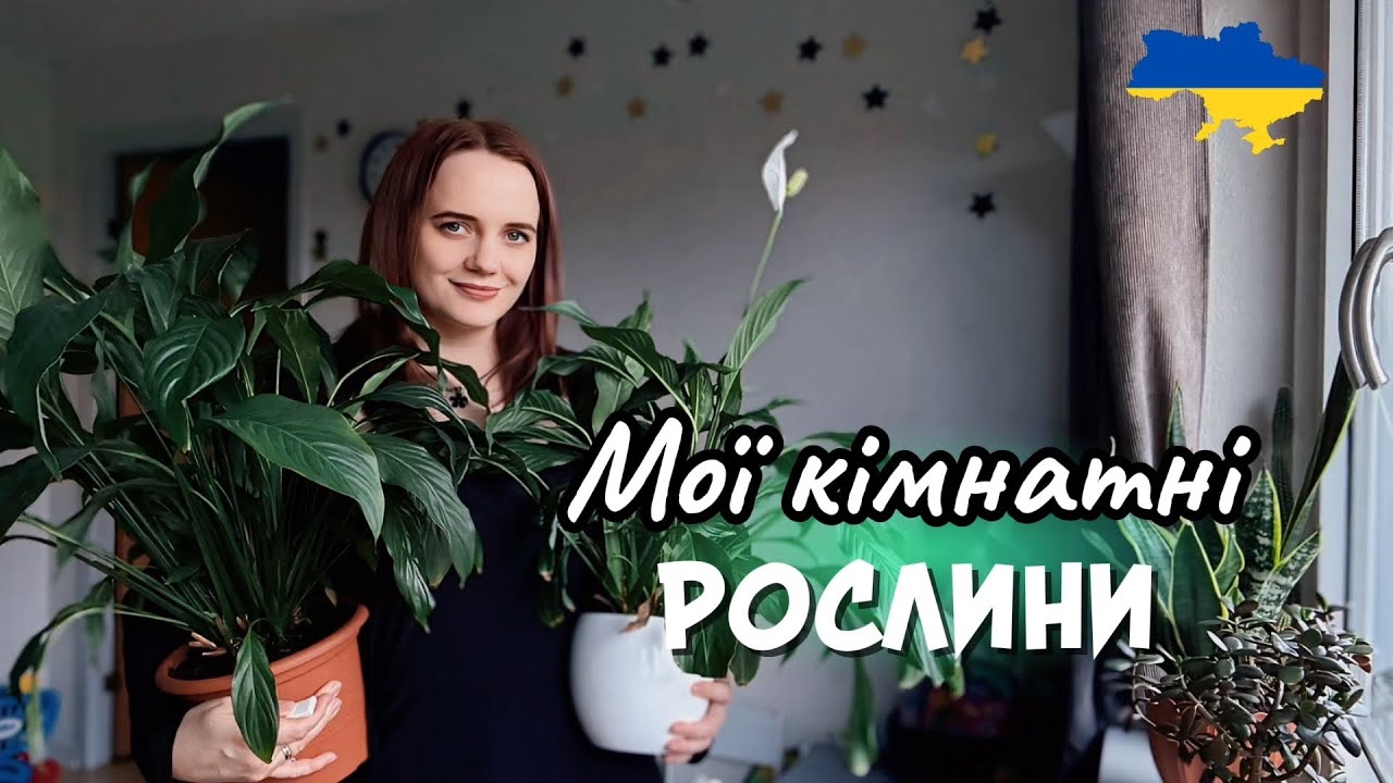 Огляд на КІМНАТНІ РОСЛИНИ 🪴 Секрети догляду | Мої фаворити