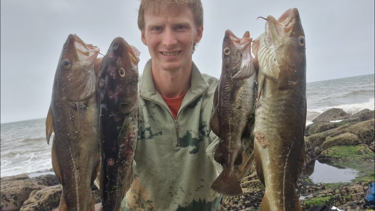 low water fishing for summer cod.