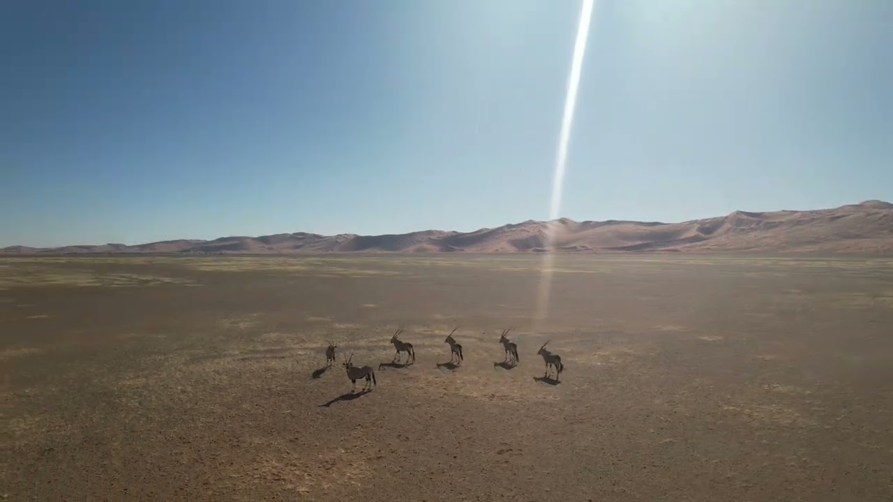 Namibia 🇳🇦, Africa Extended Footage 4K DJI Air 2S