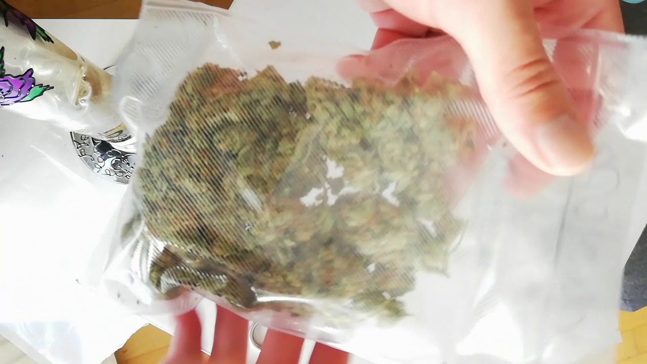 Let's open a Bag: Today CHOCOLOPE HAZE ! MIISTERHIGH/mr.high710
