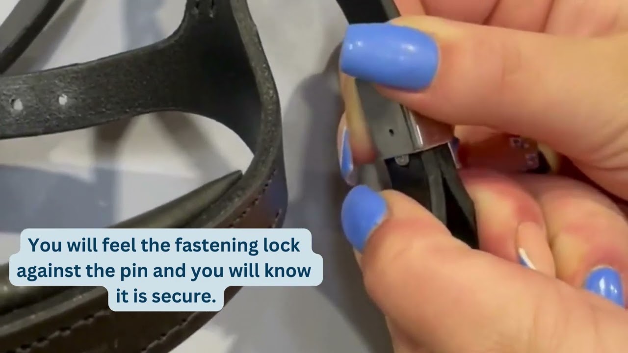 Forelock and Load St&uuml;bben Slide & Lock How To Guide