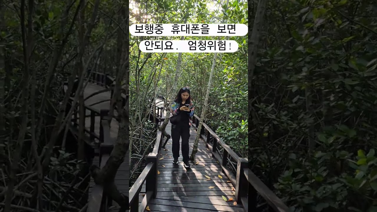 [후아힌] 근교 추천 여행 코스, 후아힌 맹그로브 숲, 프란부리 보트 투어, 해변