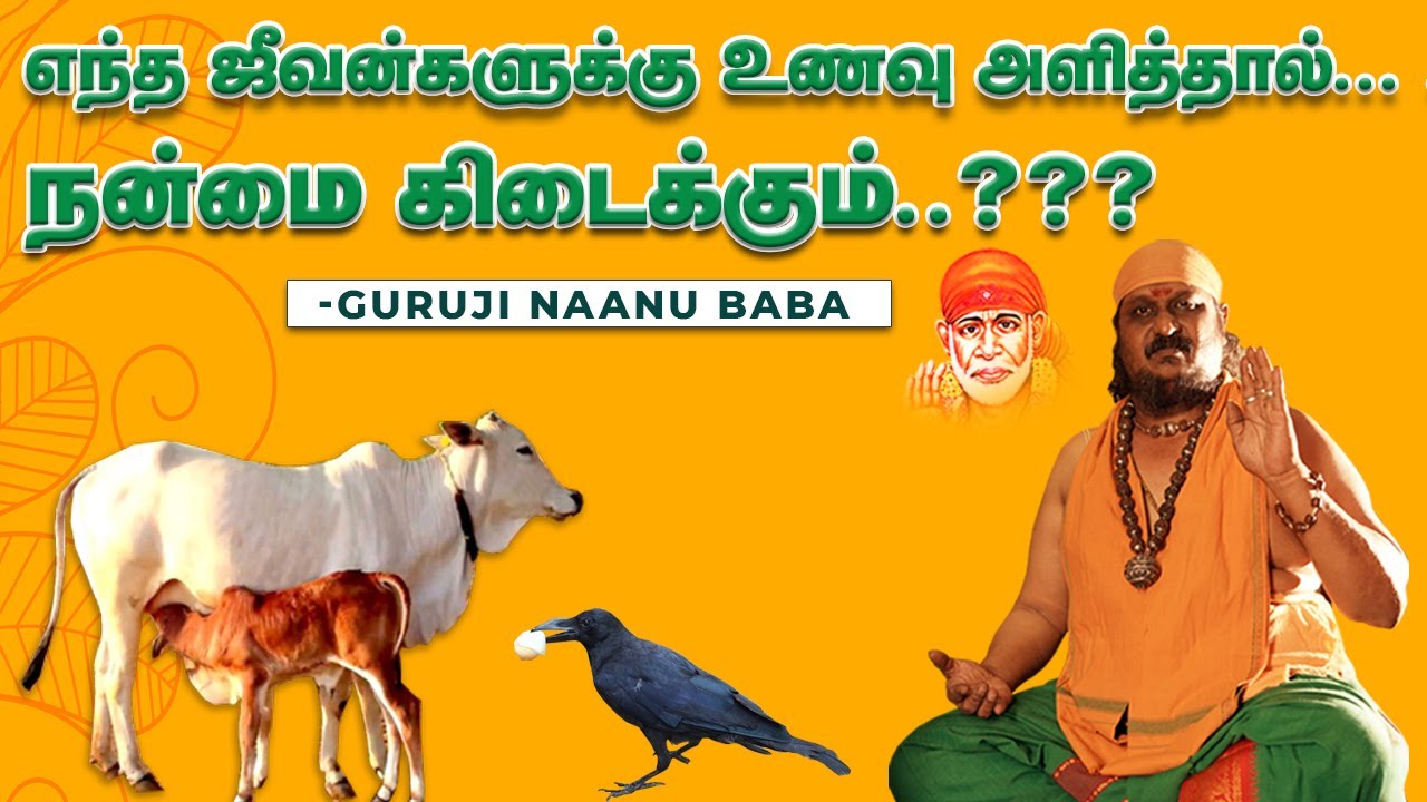 எந்த ஜீவன்களுக்கு உணவளித்தால்.. நன்மை கிடைக்கும்..??? குருஜி நானு பாபா.!!!