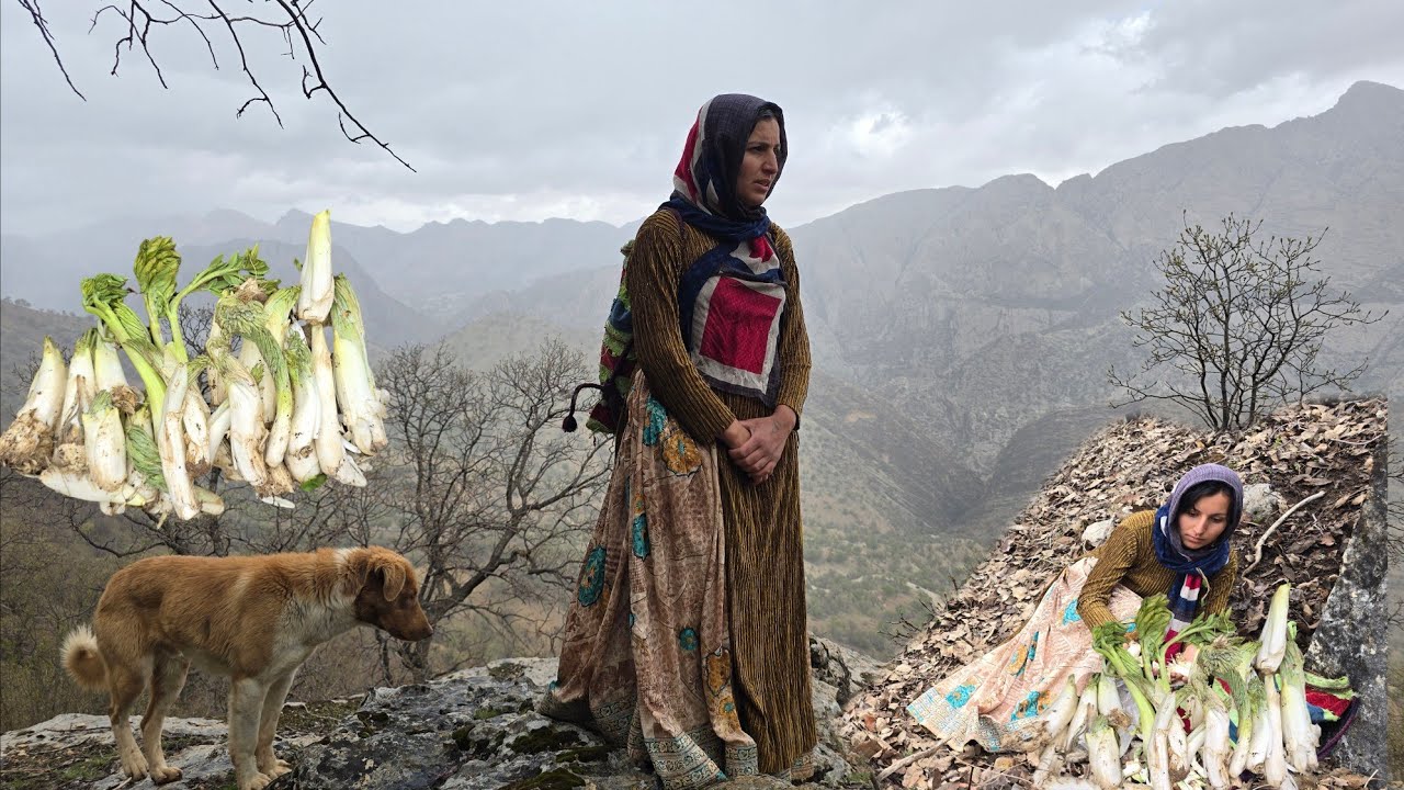 Cave life in the mountains of Iran: Herding goats and picking Bilher medicinal plants