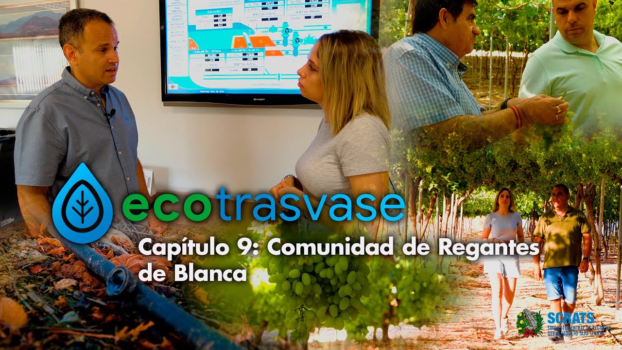 ECOTRASVASE | C.R. DE BLANCA