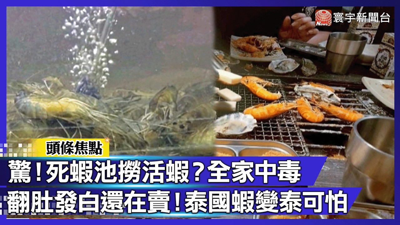 驚爆「死蝦池」撈活蝦？全家慘中彈 蝦子翻肚還在賣？一家四口拉到崩潰｜#寰宇財經新聞