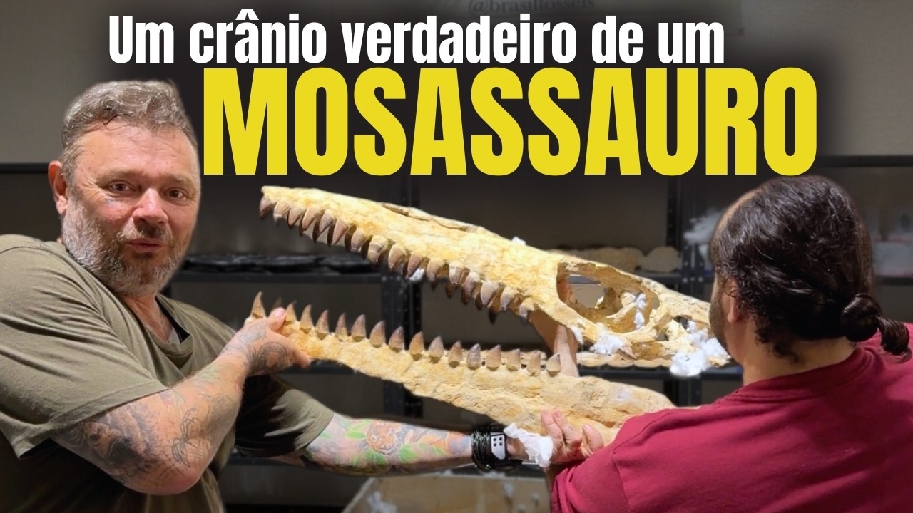 ELE TINHA MIL DENTES E VIVIA NO FUNDO DO MAR! 🦷🌍