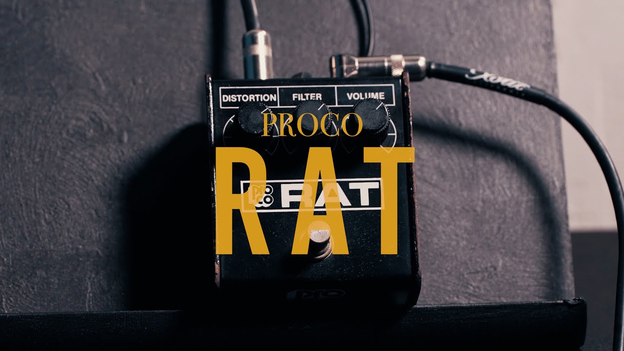 PROCO  RAT