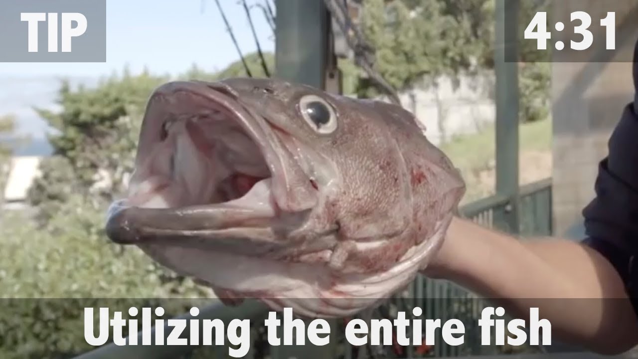 UTILIZING THE ENTIRE FISH