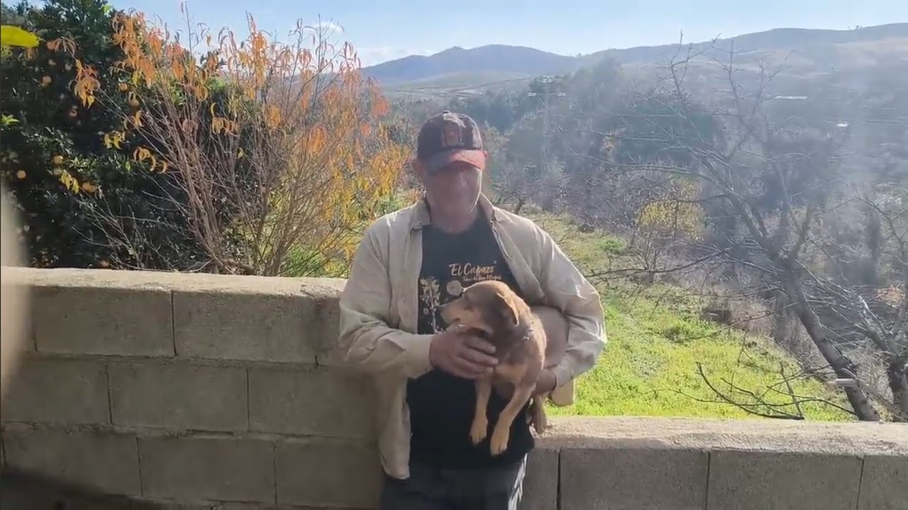 Día triste, la Duna se fue al cielo de los perros