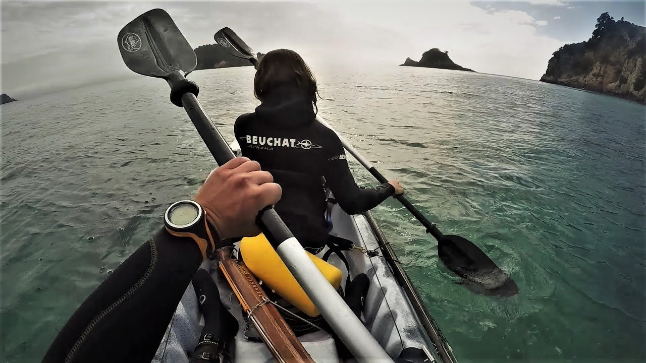 Les eaux poissonneuses du Coromandel - Chasse sous marine NZ - Ep5