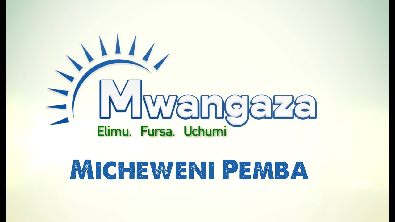 Maendeleo ya Uwekezaji Micheweni Pemba.