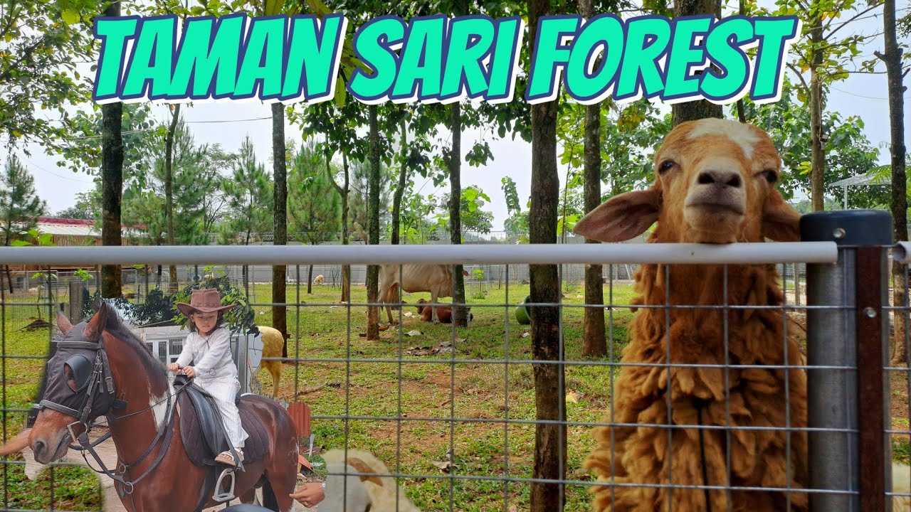 Taman sari forest Mini Zoo serba goceng | update terbaru Juni 2025