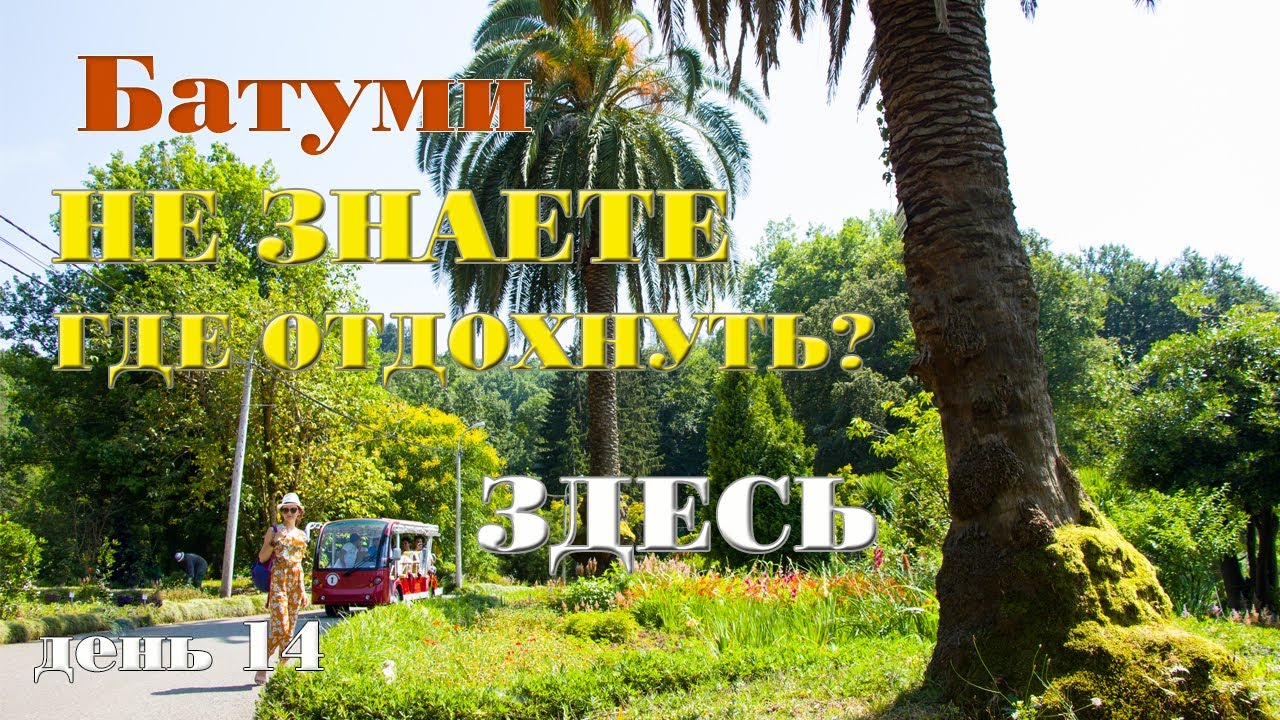 Грузия! Батуми! Ботанический сад в Батуми / Вечерний Батуми / Всё это в одном видео