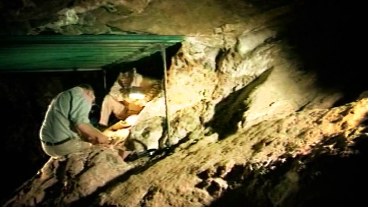 An Introduction to the Australopithecus sediba