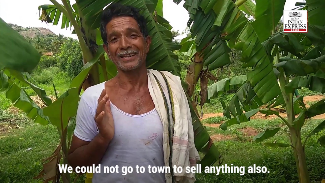 Lockdown hits farmers' produce, TNIE extends helping hand to make sale
