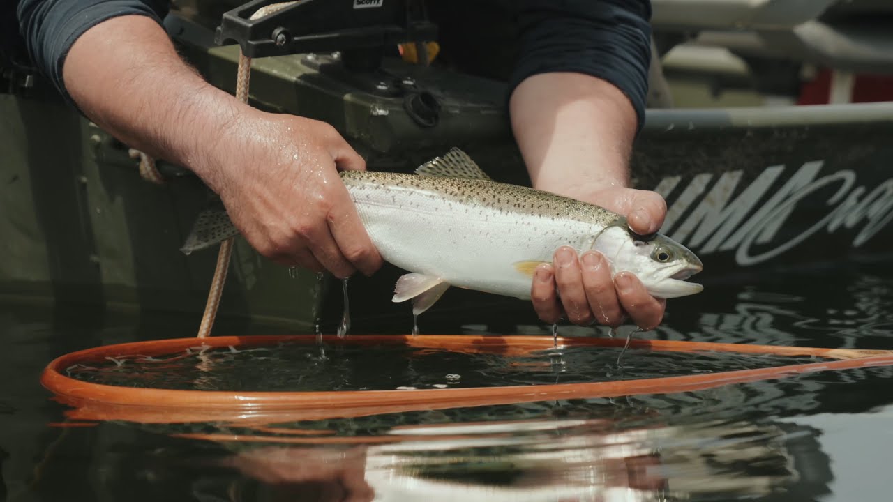 Fishing BC Presents: Road Trip on The Fishing Highway 24 with Lone Butte Fishing Adventures