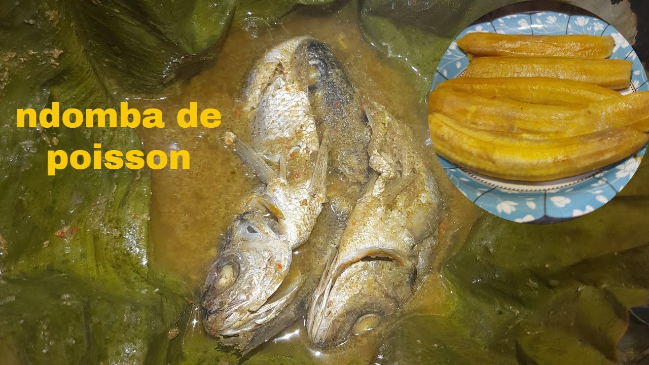 ndomba de poisson dans les feuilles / bouillon de poisson