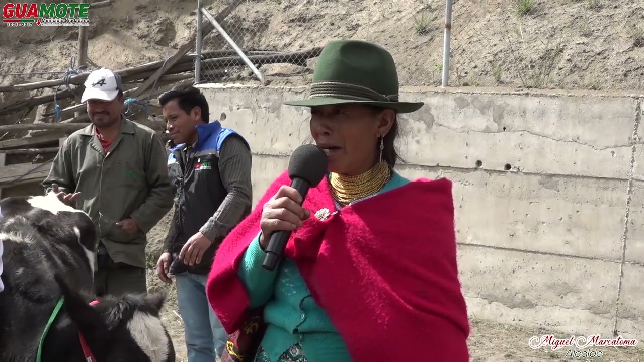Entrega de 22 de vaconas de 8 a 10 meses de edad  en la comunidad San Francisco de Cebadas.